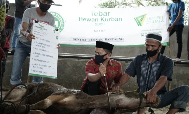 MUI: Penggunaan APBN untuk Pembelian Hewan Kurban Presiden Tidak Melanggar Syariat MUI: Penggunaan APBN untuk Pembelian Hewan Kurban Presiden Tidak Melanggar Syariat