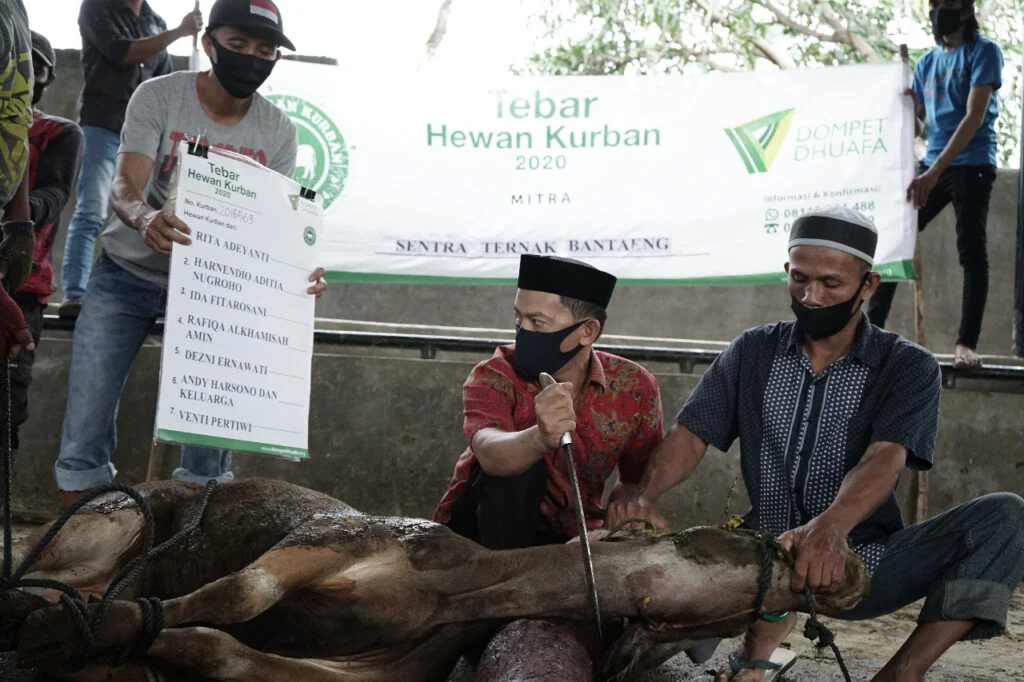MUI: Penggunaan APBN untuk Pembelian Hewan Kurban Presiden Tidak Melanggar Syariat