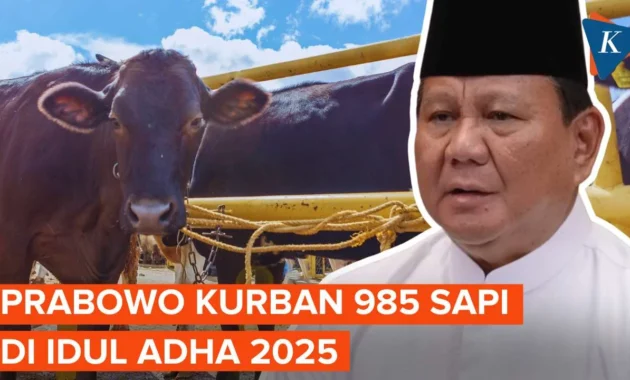 MUI Tegaskan Kurban Prabowo 1.098 Ekor Sapi Senilai Rp 100 Miliar Pakai APBN Sah dan Halal MUI Tegaskan Kurban Prabowo 1.098 Ekor Sapi Senilai Rp 100 Miliar Pakai APBN Sah dan Halal
