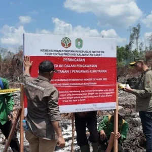 OIKN Ambil Langkah Tegas Penegakan Hukum atas Pengerusakan Hutan