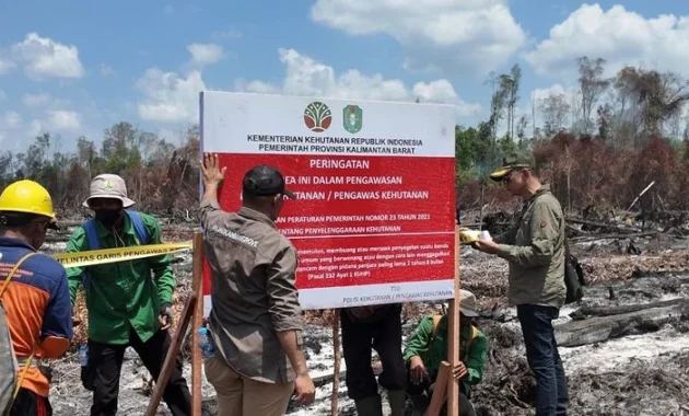 OIKN Ambil Langkah Tegas Penegakan Hukum atas Pengerusakan Hutan