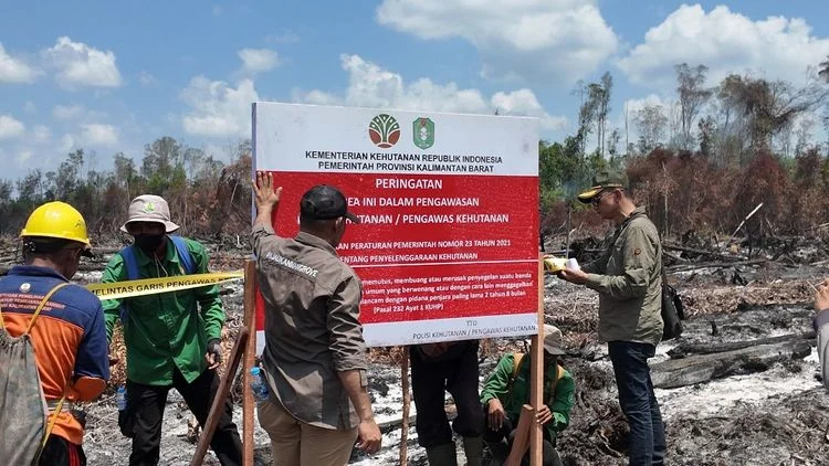 OIKN Ambil Langkah Tegas Penegakan Hukum atas Pengerusakan Hutan