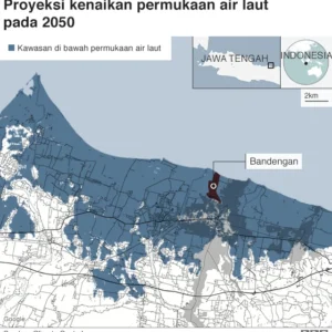 Outbreak Hantavirus di Laut Indonesia Menyebar ke Daratan: Ancaman Kesehatan Baru