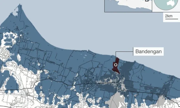 Outbreak Hantavirus di Laut Indonesia Menyebar ke Daratan: Ancaman Kesehatan Baru