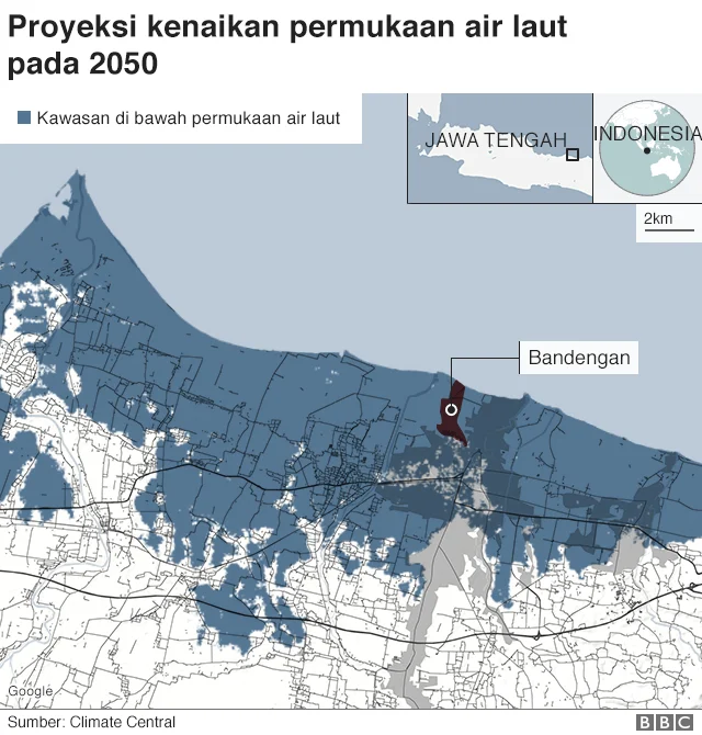 Outbreak Hantavirus di Laut Indonesia Menyebar ke Daratan: Ancaman Kesehatan Baru
