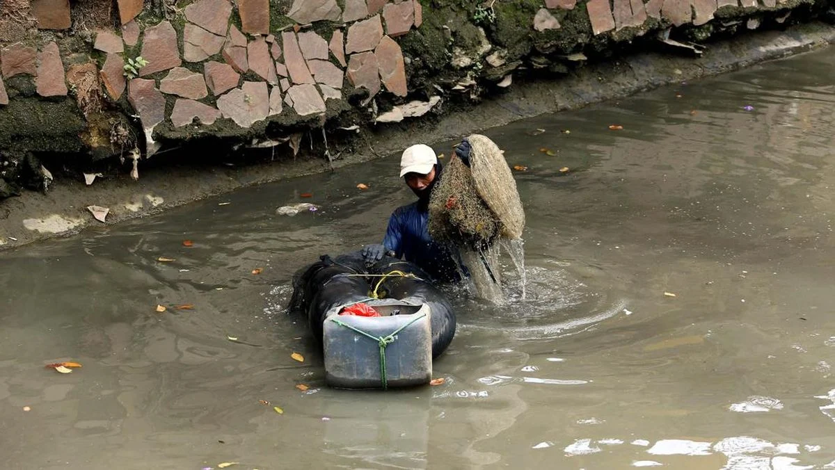 Pakar IPB Ungkap Penyebab Ledakan Populasi Ikan Sapu‑Sapu di Perairan Jakarta