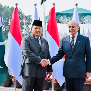 Pakistan Soroti Penjajakan Kerja Sama Kesehatan dan Investasi dengan Indonesia