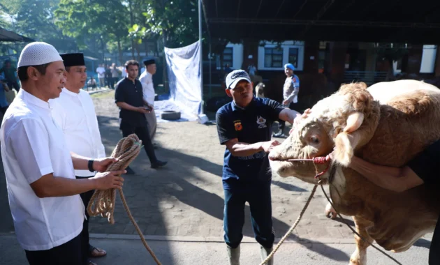 Pelindo Regional 4 Selenggarakan Pemotongan 35 Hewan Kurban untuk Dibagikan pada Idul Adha 1447 H
