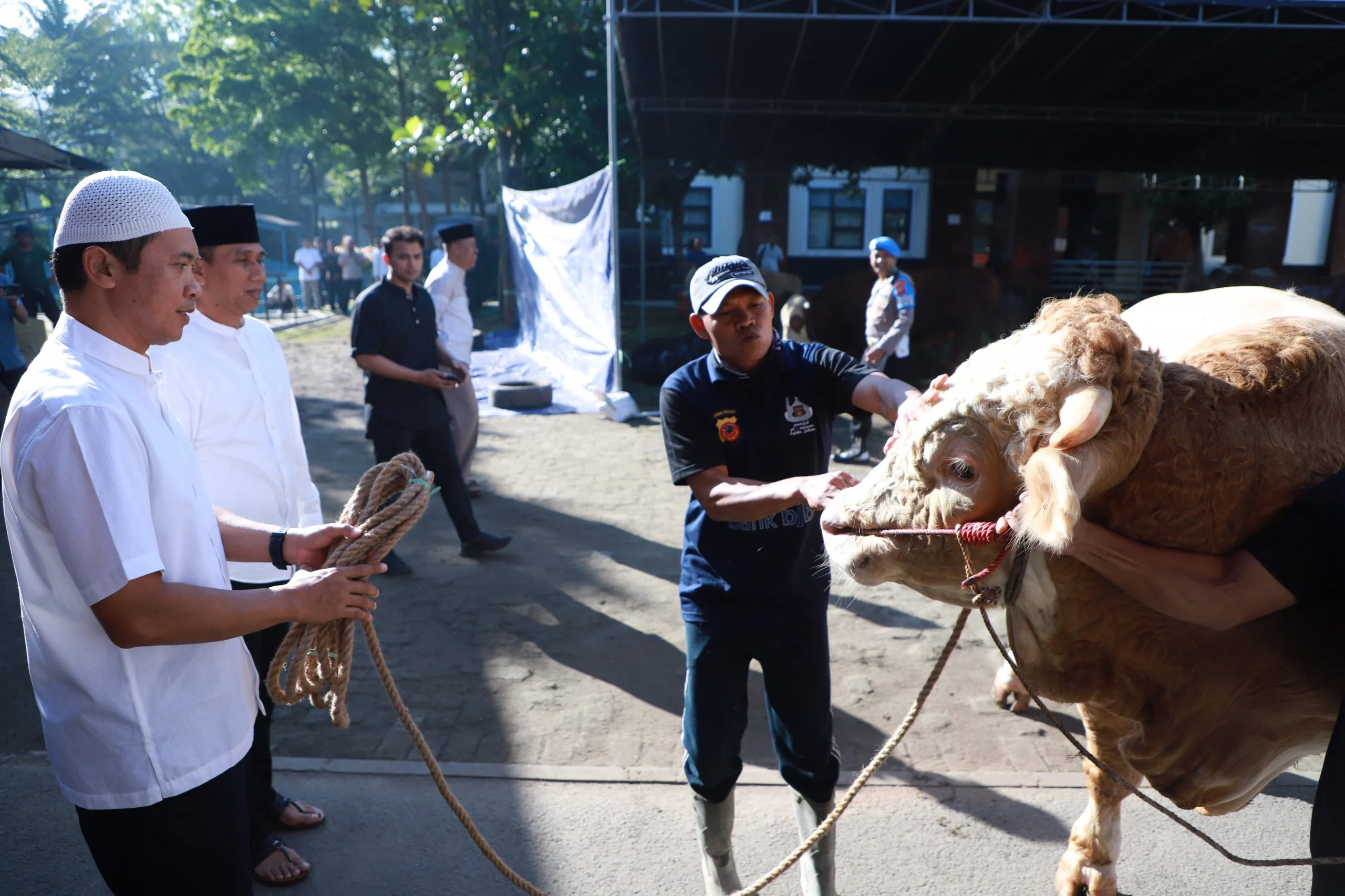 Pelindo Regional 4 Selenggarakan Pemotongan 35 Hewan Kurban untuk Dibagikan pada Idul Adha 1447 H