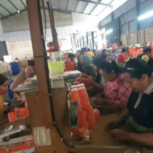 Pemerintah diminta buat regulasi untuk jaga industri rokok