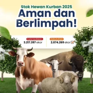 Pemerintah Pastikan Ketersediaan Hewan Kurban Nasional Surplus, Wamentan: Pasokan Aman