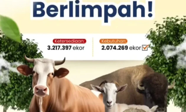 Pemerintah Pastikan Ketersediaan Hewan Kurban Nasional Surplus, Wamentan: Pasokan Aman
