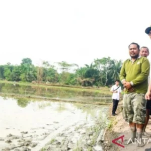Pemkab Deli Serdang Tindak Lanjut Aspirasi Petani di Kecamatan Percut Sei Tuan