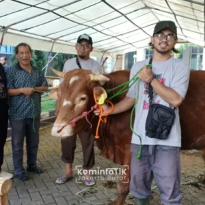 Pemkot Jakarta Barat Himpun 78 Ekor Hewan Kurban untuk Disalurkan ke Masyarakat