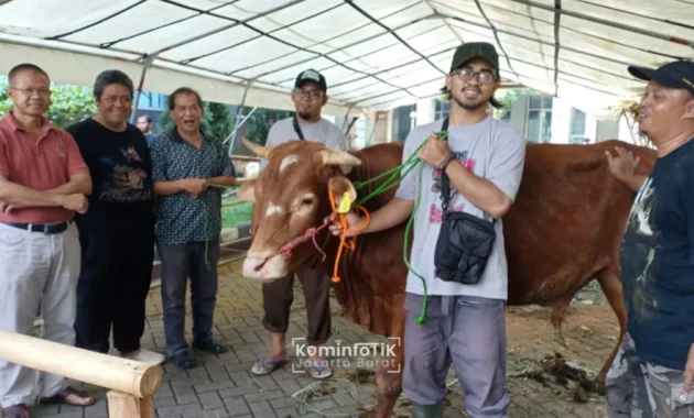Pemkot Jakarta Barat Himpun 78 Ekor Hewan Kurban untuk Disalurkan ke Masyarakat Pemkot Jakarta Barat Himpun 78 Ekor Hewan Kurban untuk Disalurkan ke Masyarakat