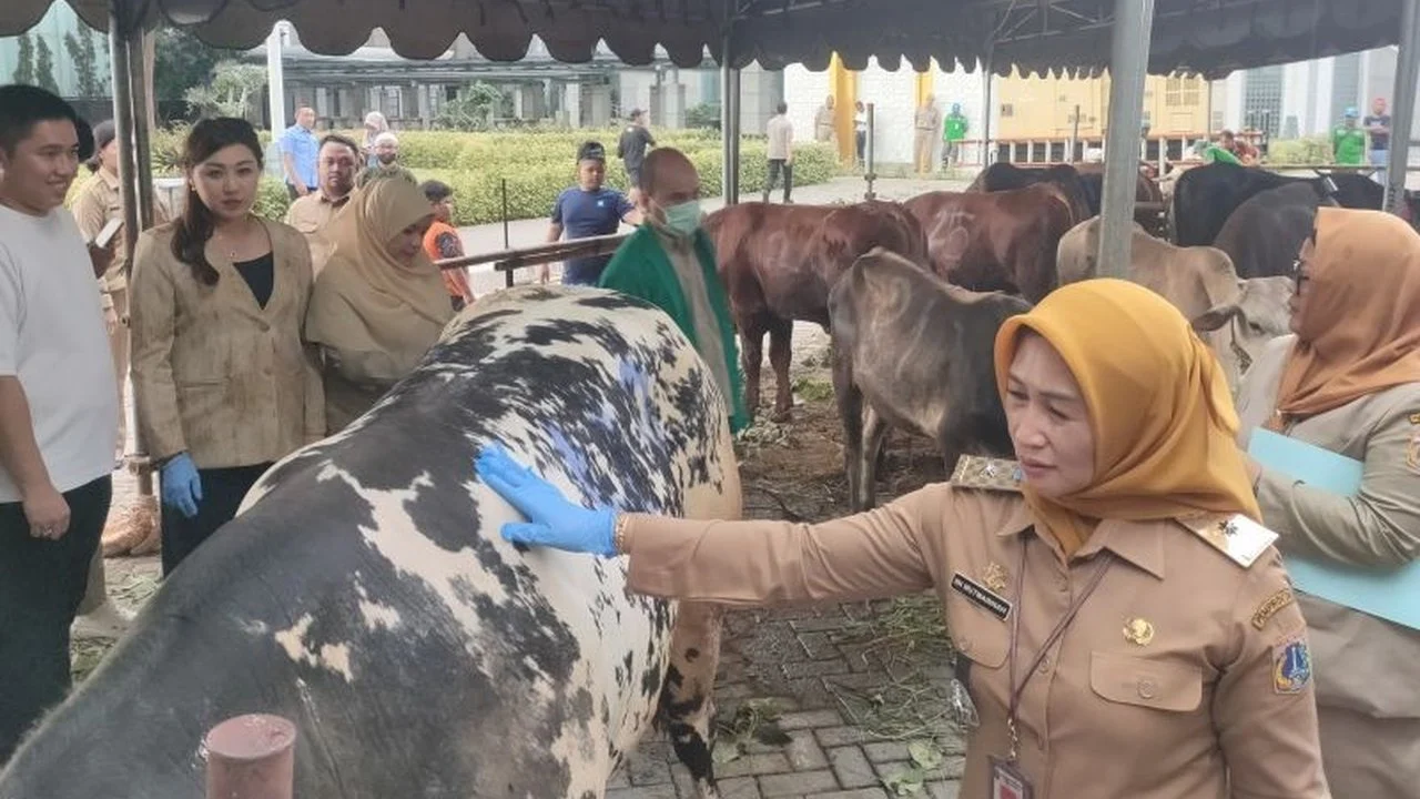 Pemkot Jakarta Barat Siapkan 55 Hewan Kurban untuk Idul Adha