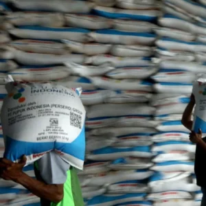 Penebusan Pupuk Subsidi Naik 36 Persen, Distribusi Diperkuat