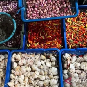 PIHPS Catat Harga Cabai Rawit Rp54.700/kg dan Telur Ayam Rp33.000/kg