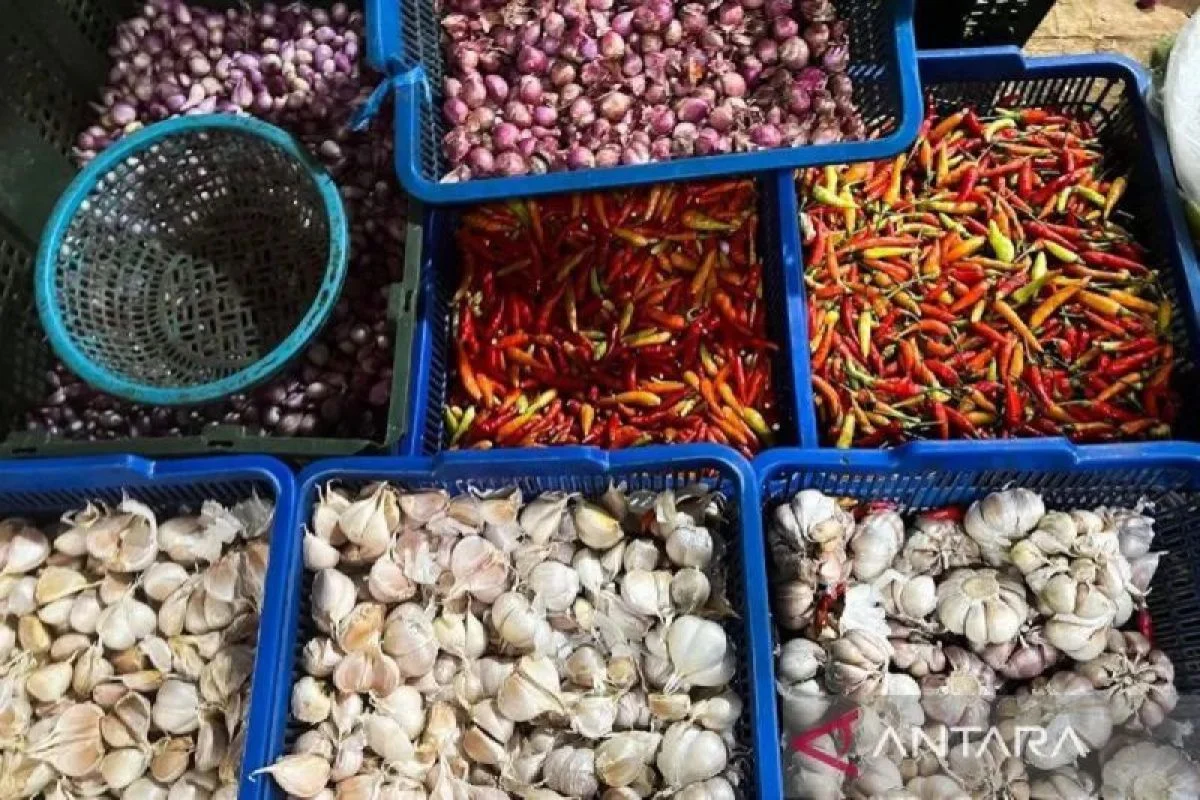 PIHPS: Harga Cabai Rawit Rp63.700/kg dan Telur Ayam Rp31.400/kg