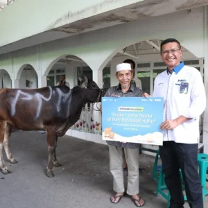 PNM Tebar Syukur, Salurkan Hewan Kurban untuk Warga di Sekitar Wilayah Layanan