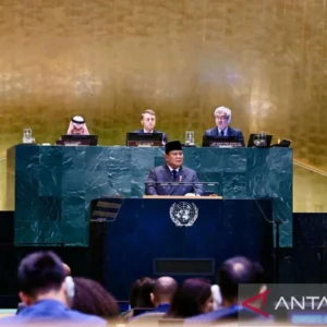 Prabowo dan Macron Sepakati Dukungan terhadap Solusi Dua Negara serta Kemerdekaan Palestina