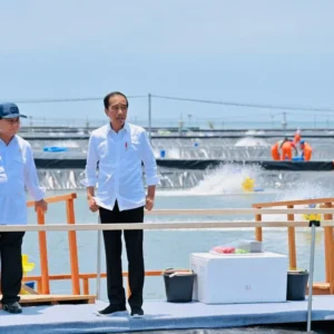 Prabowo Dorong Ekspor Perikanan, Tambak Udang Kebumen Capai Rp134 Miliar per Tahun