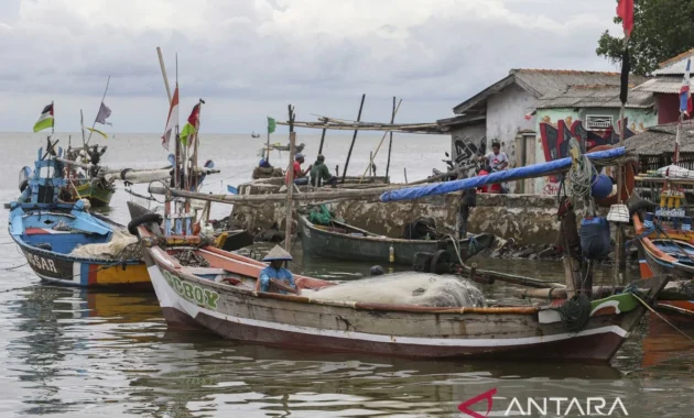 Prabowo Janji Bangun 12 Ribu Kampung Nelayan Merah Putih dan Bagikan 1.582 Kapal Ikan