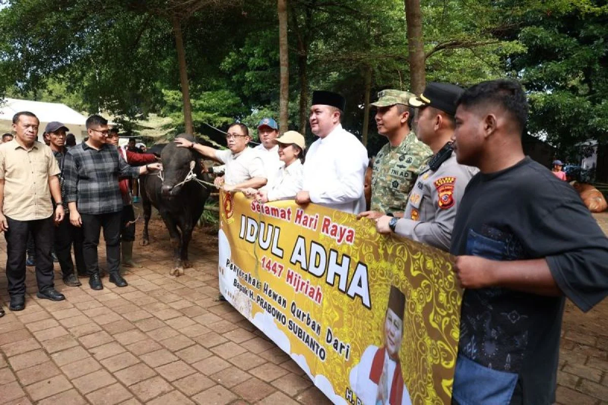 Prabowo Rutin Salurkan Hewan Kurban untuk Warga Hambalang