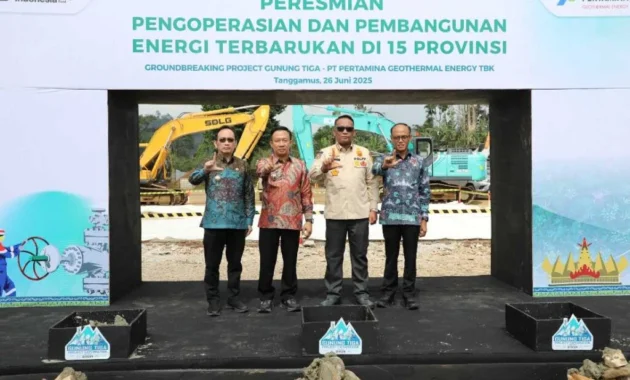 Prabowo Serukan ASEAN Percepat Pengembangan Energi Terbarukan dan Jaringan Listrik Trans Borneo