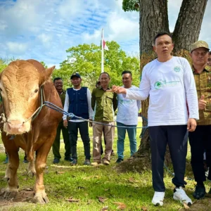 Prabowo Sumbang Sapi Jumbo 1,2 Ton untuk Korban Banjir Dayeuhkolot