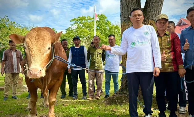 Prabowo Sumbang Sapi Jumbo 1,2 Ton untuk Korban Banjir Dayeuhkolot Prabowo Sumbang Sapi Jumbo 1,2 Ton untuk Korban Banjir Dayeuhkolot