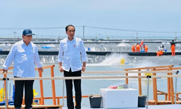 Prabowo Tinjau Panen Raya Udang di Tambak Budidaya Kebumen