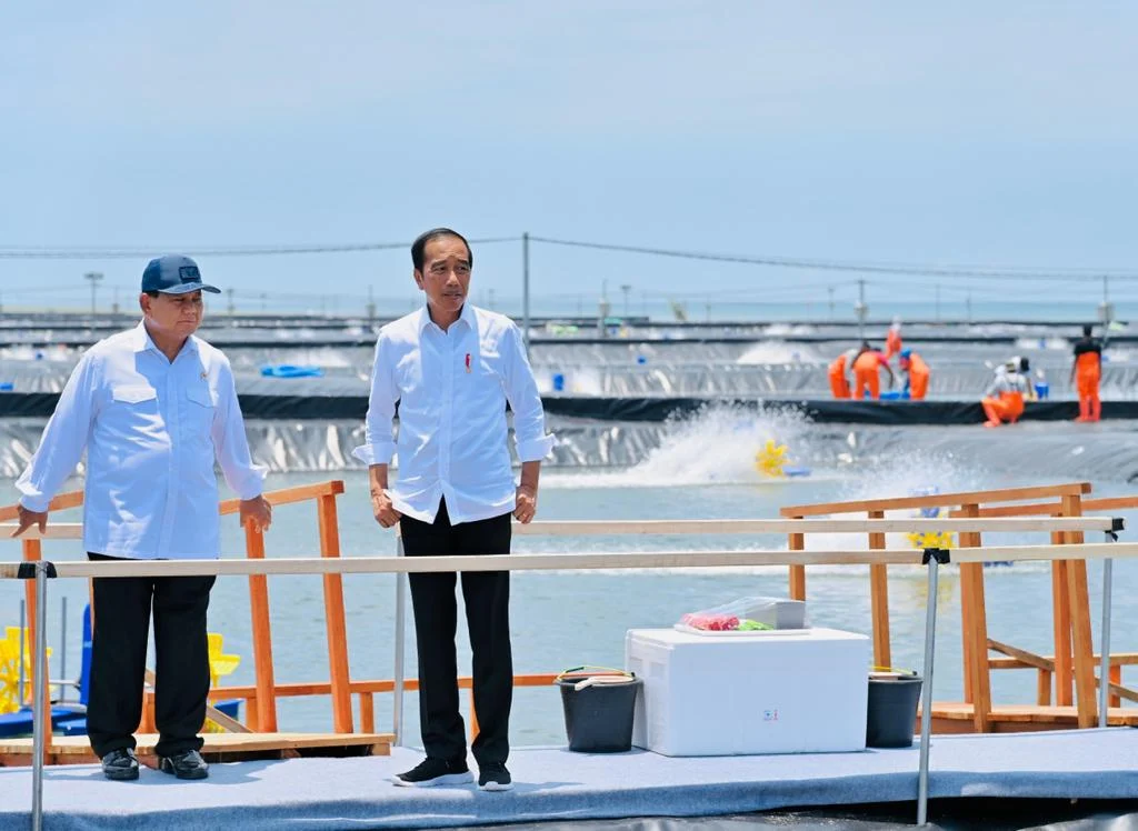 Prabowo Tinjau Panen Raya Udang di Tambak Budidaya Kebumen