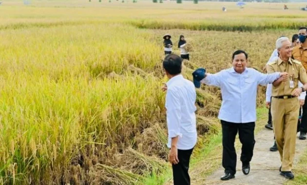 Presiden Prabowo Subianto Lakukan Panen Raya Udang di Kebumen