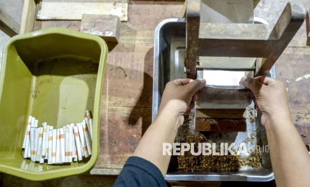 Produk Tembakau Alternatif Dinilai Bisa Jadi Pendekatan Pengurangan Risiko