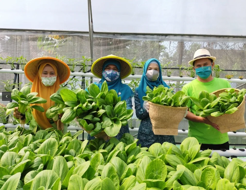Program Lestari Kota Dorong Urban Farming Dukung Sistem Pangan Masa Depan