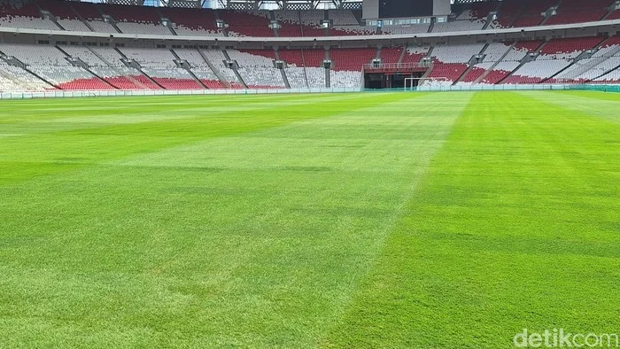 PSSI Pastikan Rumput Stadion Utama Gelora Bandung Kota (SUGBK) Masih Layak Digunakan
