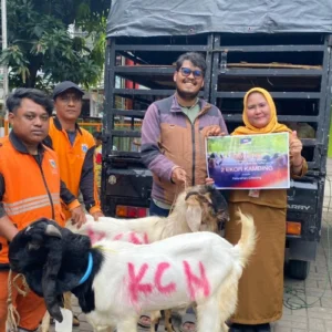 PT KCN Salurkan 33 Hewan Kurban untuk Masyarakat dan Pemangku Kepentingan di Cilincing dan Marunda