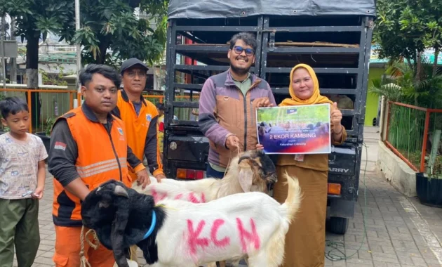 PT KCN Salurkan 33 Hewan Kurban untuk Masyarakat dan Pemangku Kepentingan di Cilincing dan Marunda PT KCN Salurkan 33 Hewan Kurban untuk Masyarakat dan Pemangku Kepentingan di Cilincing dan Marunda