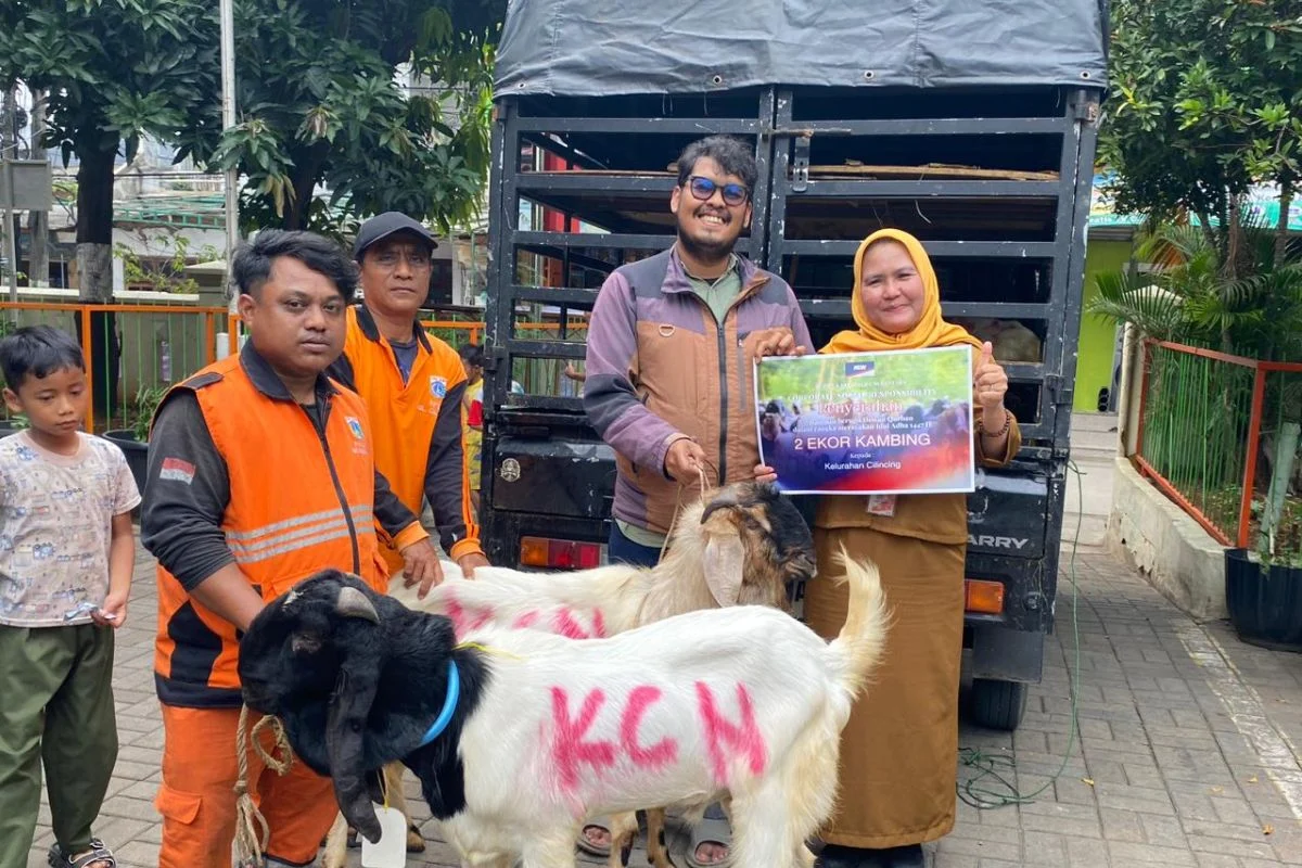 PT KCN Salurkan 33 Hewan Kurban untuk Masyarakat dan Pemangku Kepentingan di Cilincing dan Marunda