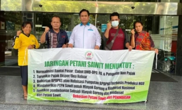 Respons Anjloknya Harga Sawit, Pemerintah Pastikan Petani dan Pelaku Usaha Terlindungi