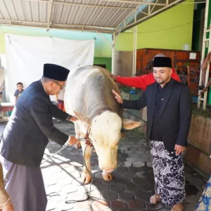 Saat Kurban Mengajarkan Ekonomi Keadilan