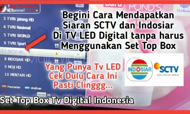 SCTV Live: Dari Siaran Tradisional ke Era Streaming Digital yang Mengguncang Penonton Indonesia