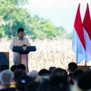 Setelah 2 Tahun, Bagaimana Status Manajer Kopdes Merah Putih? Begini Penjelasannya