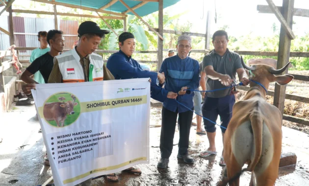 SIG Salurkan 292 Hewan Kurban bagi Masyarakat di Sekitar Area Operasi SIG Salurkan 292 Hewan Kurban bagi Masyarakat di Sekitar Area Operasi