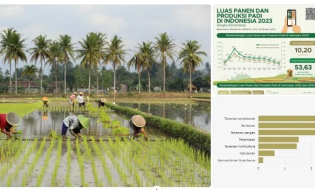 Tiga Sektor Utama Pendorong Pertumbuhan Ekonomi Kuartal I 2026, Pertanian Kontribusi 12,67%