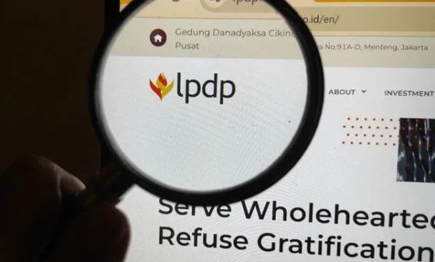 TNI AU Klaim Diminta LPDP Beri Pembekalan ke Awardee