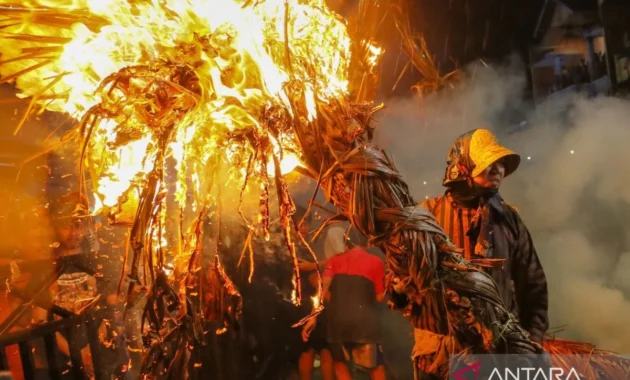 Tradisi Perang Obor Jadi Puncak Sedekah Bumi di Kabupaten Jepara Tradisi Perang Obor Jadi Puncak Sedekah Bumi di Kabupaten Jepara
