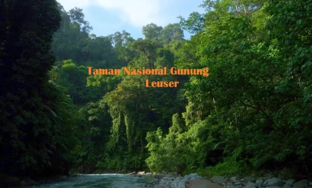 Transformasi Besar: 13 Taman Nasional, Termasuk Gunung Leuser, Siap Jadi Kawasan Konservasi Kelas Dunia
