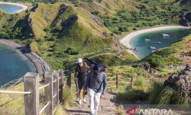 Upaya Kementerian Pariwisata Jaga Kelestarian Komodo Secara Berkelanjutan